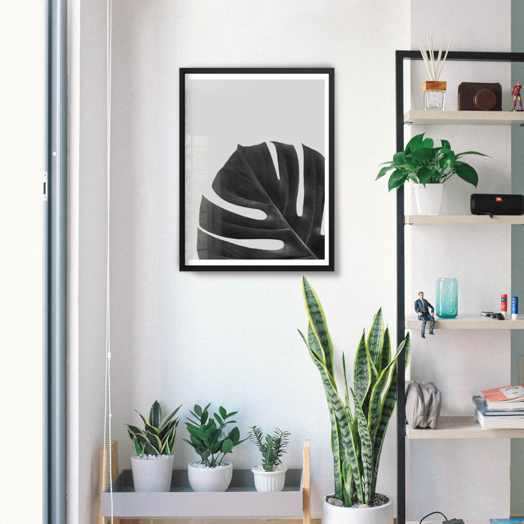 botanical plant poster in black and white