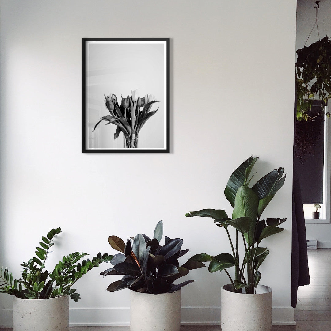 bunch of flowers in black and white botanical poster print