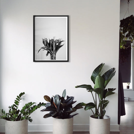 bunch of flowers in black and white botanical poster print