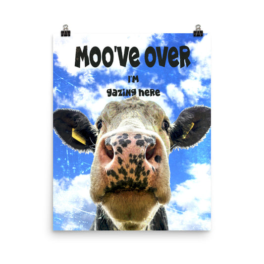 Gazing Cow Poster Print
