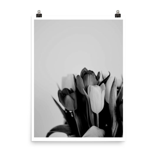 Black and White Blooms Poster Print