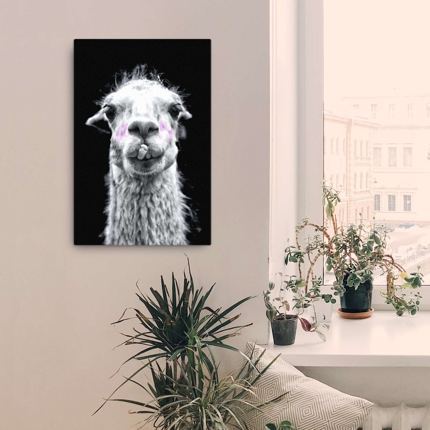funny llama canvas wall art