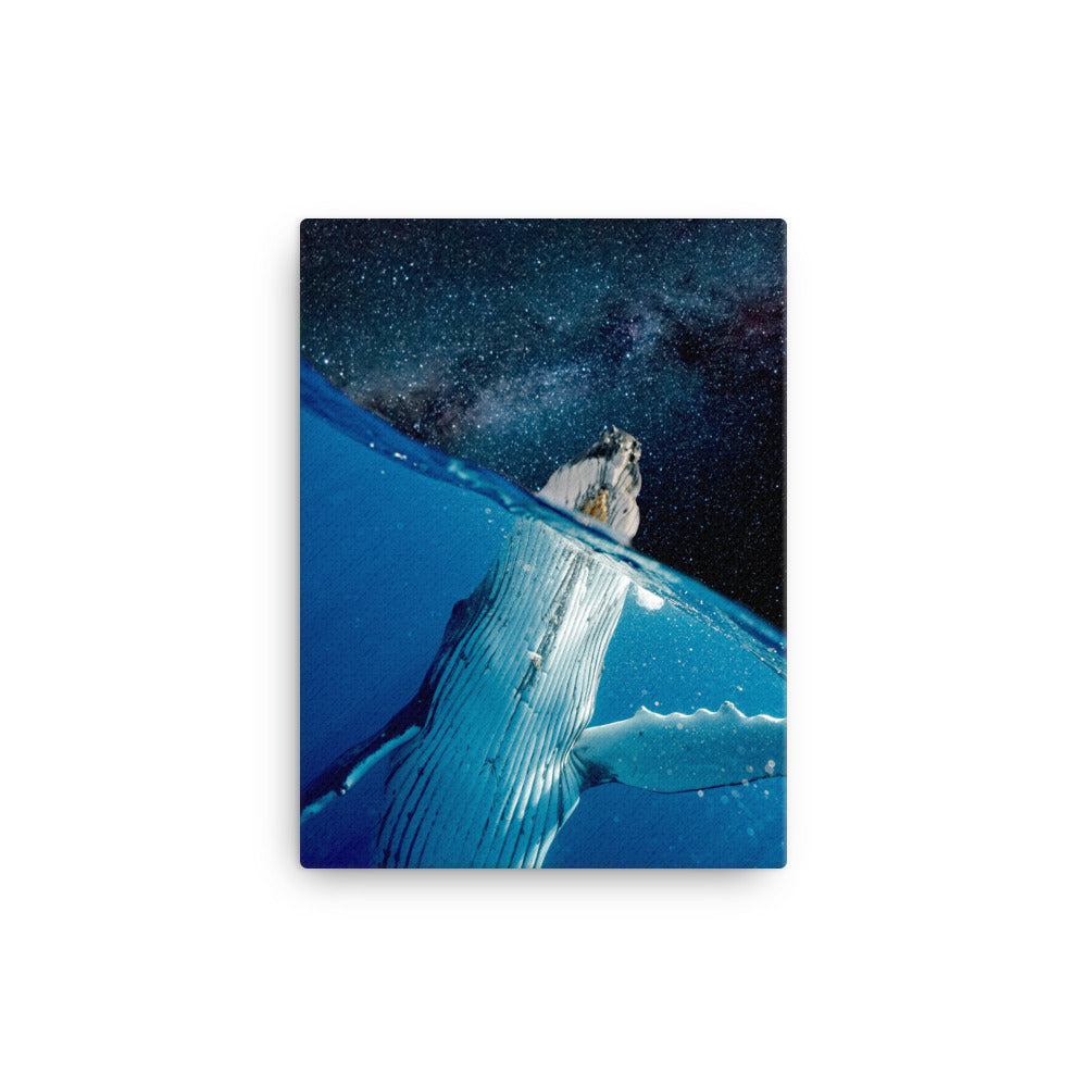 Whale in Space Canvas Print