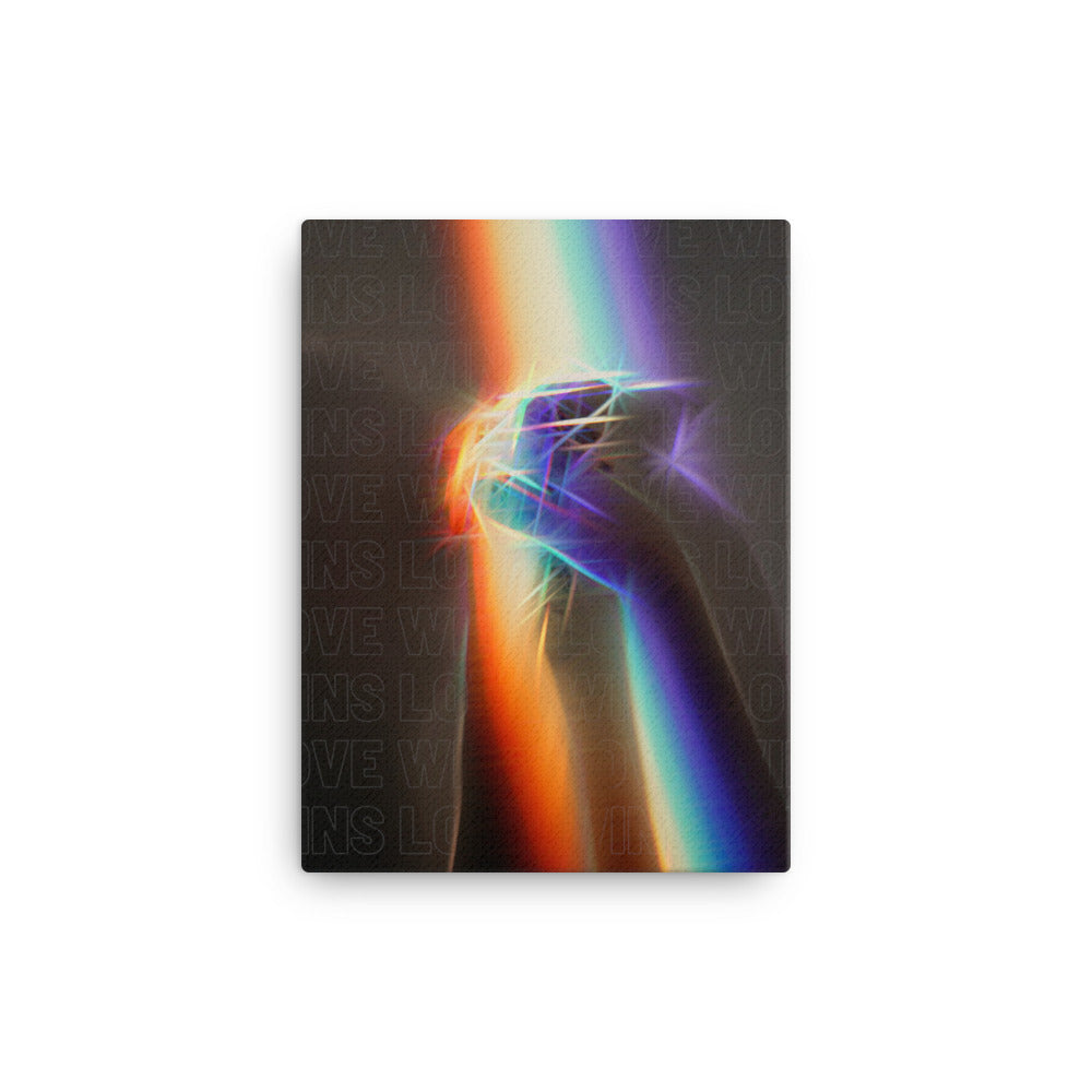 Love Wins Canvas Print