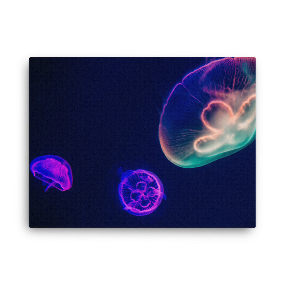 Neon Jellyfish Canvas Print