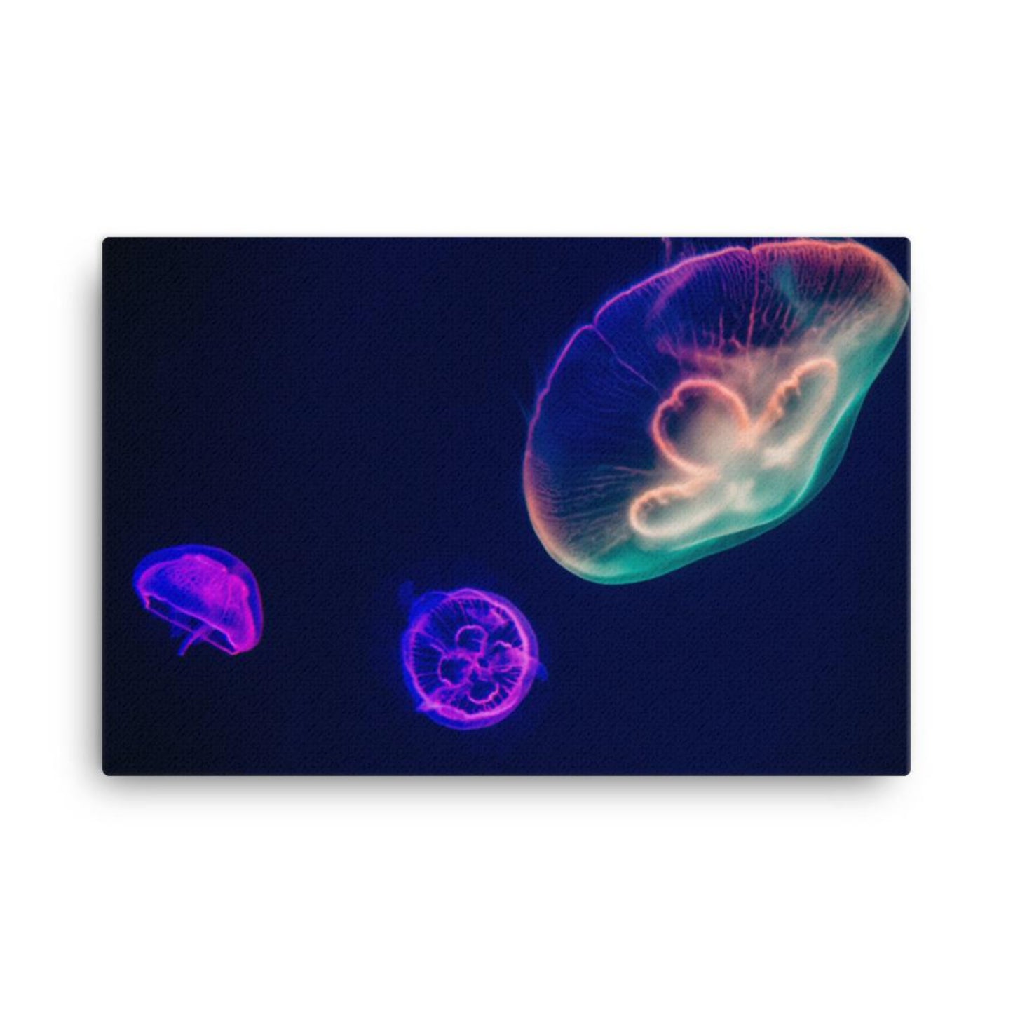 jellyfish artistic art canvas print