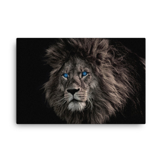 Lion canvas