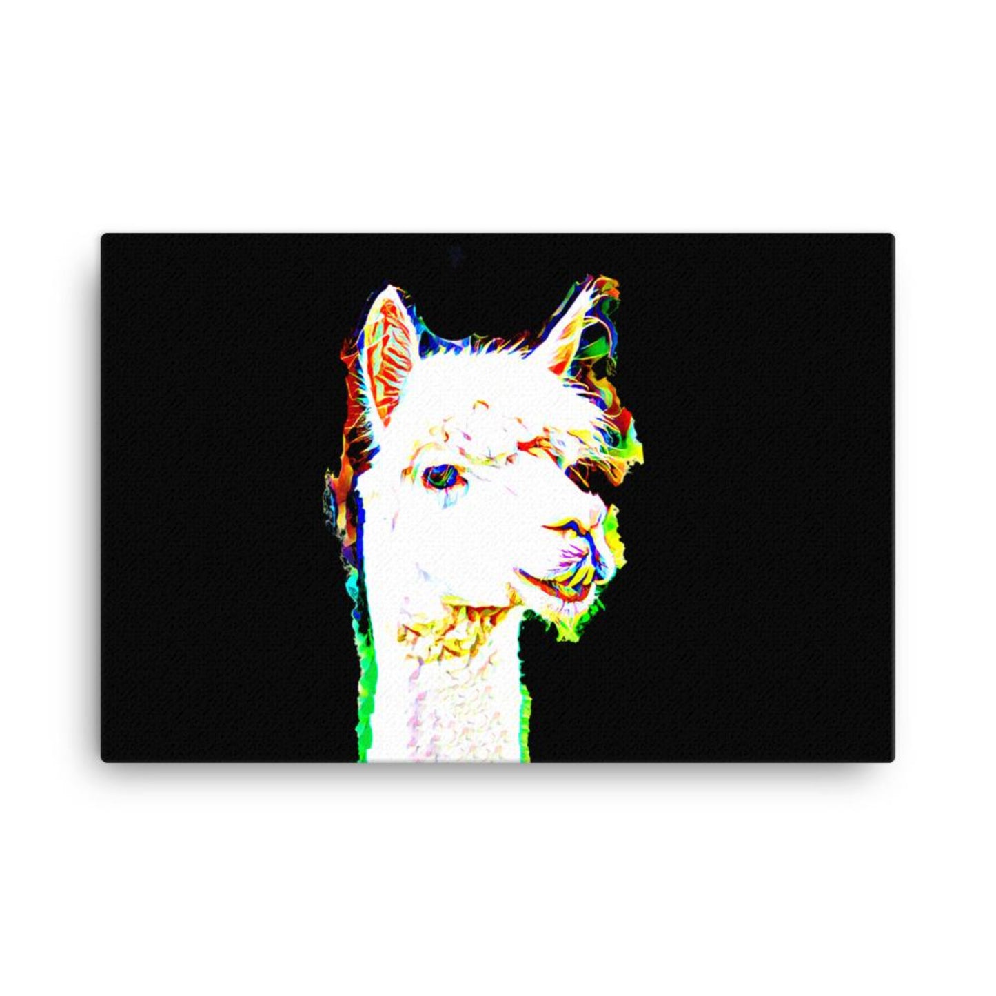 Funny Llama in artistic blend of vibrant colours canvas wall art