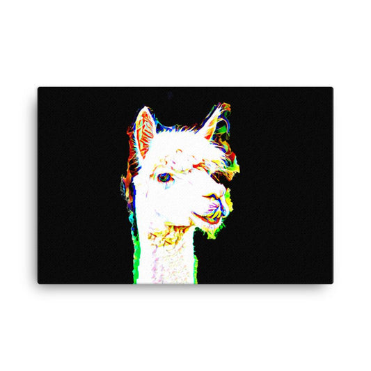 Funny Llama in artistic blend of vibrant colours canvas wall art 