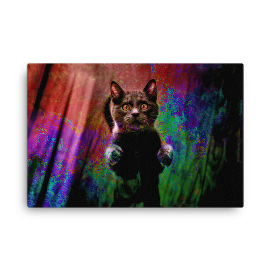 Illuminated Cat Canvas Print