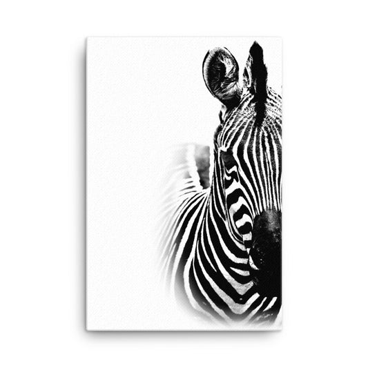 Striped Beauty Canvas Print
