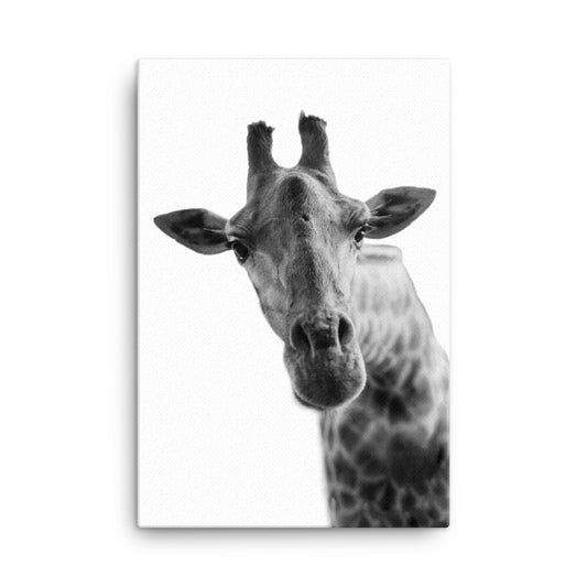 Giraffe: The Graceful Giant Canvas Print