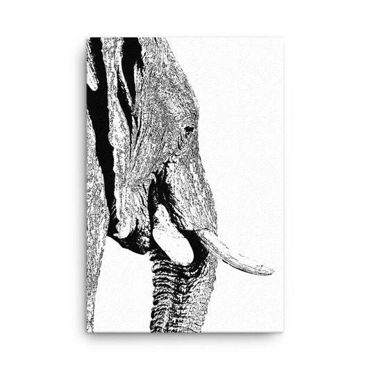 Elephant Elegance Canvas Print