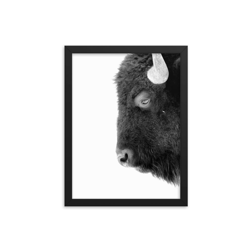 Mono Bison Framed Print