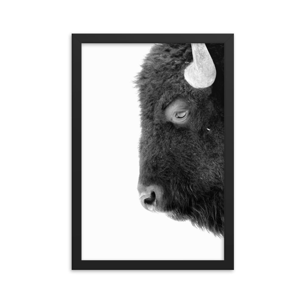 Mono Bison Framed Print