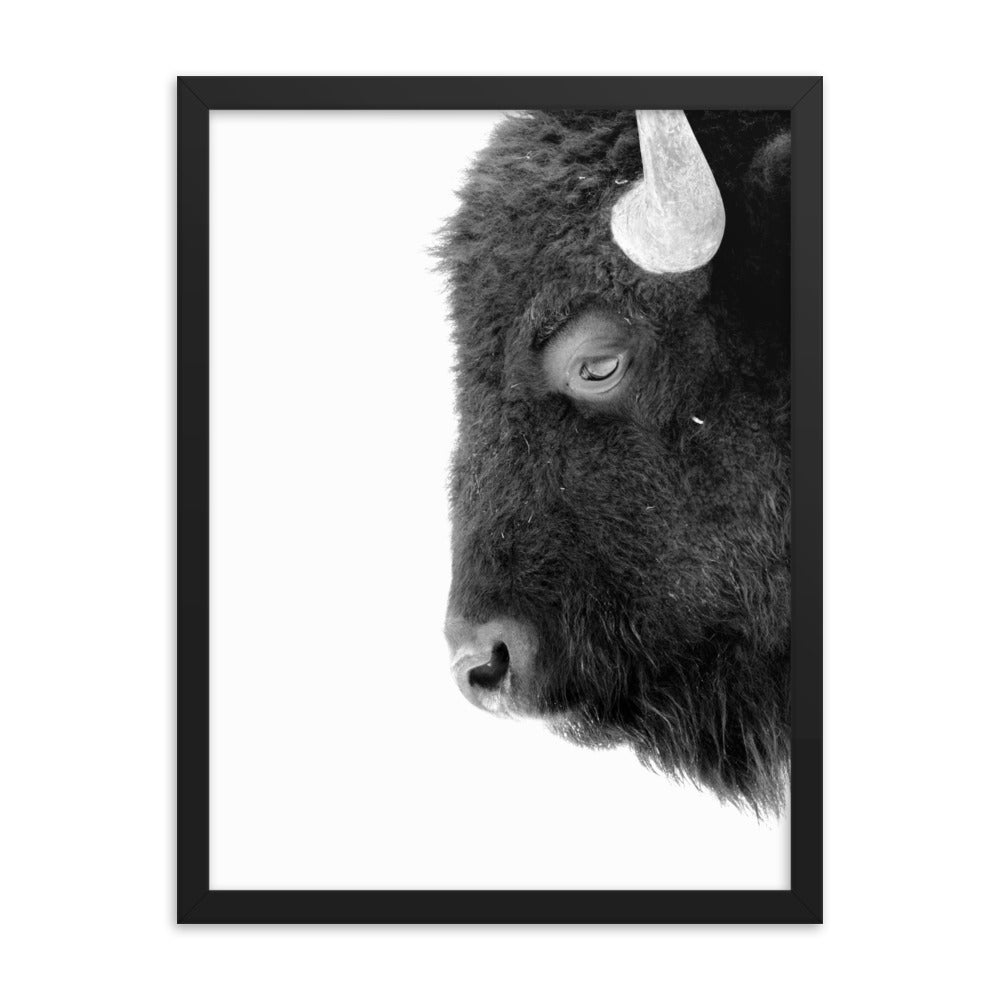 Mono Bison Framed Print