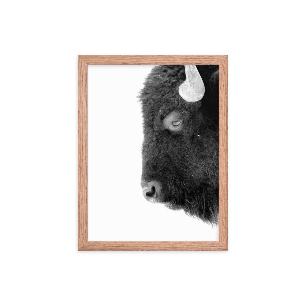 Mono Bison Framed Print