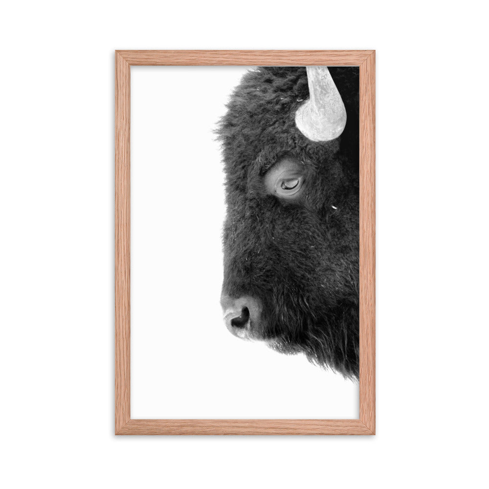 Mono Bison Framed Print