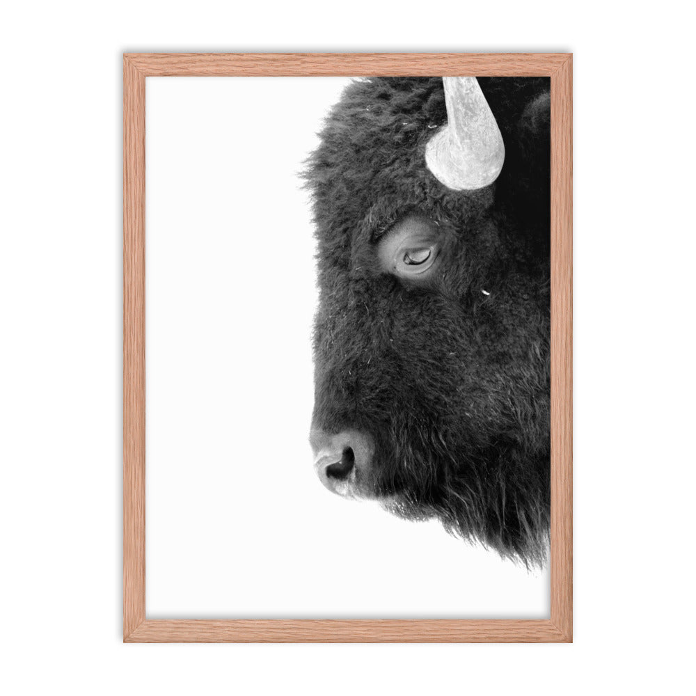 Mono Bison Framed Print
