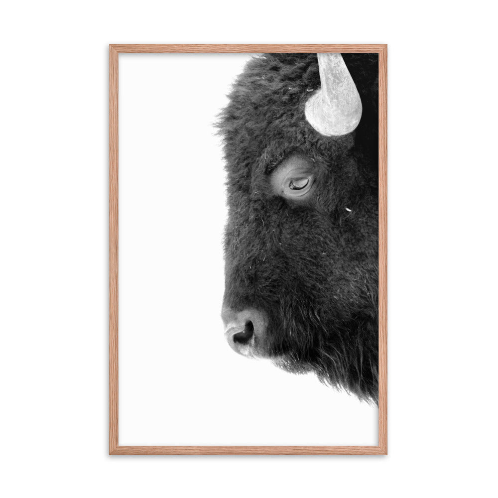 Mono Bison Framed Print