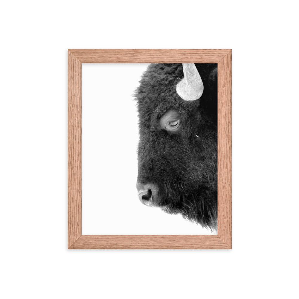 Mono Bison Framed Print