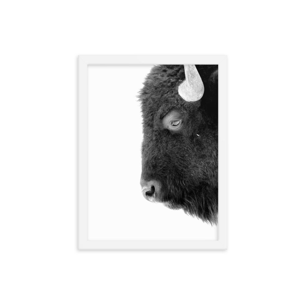 Mono Bison Framed Print