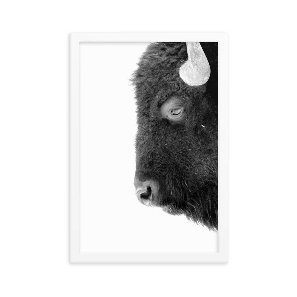 Mono Bison Framed Print