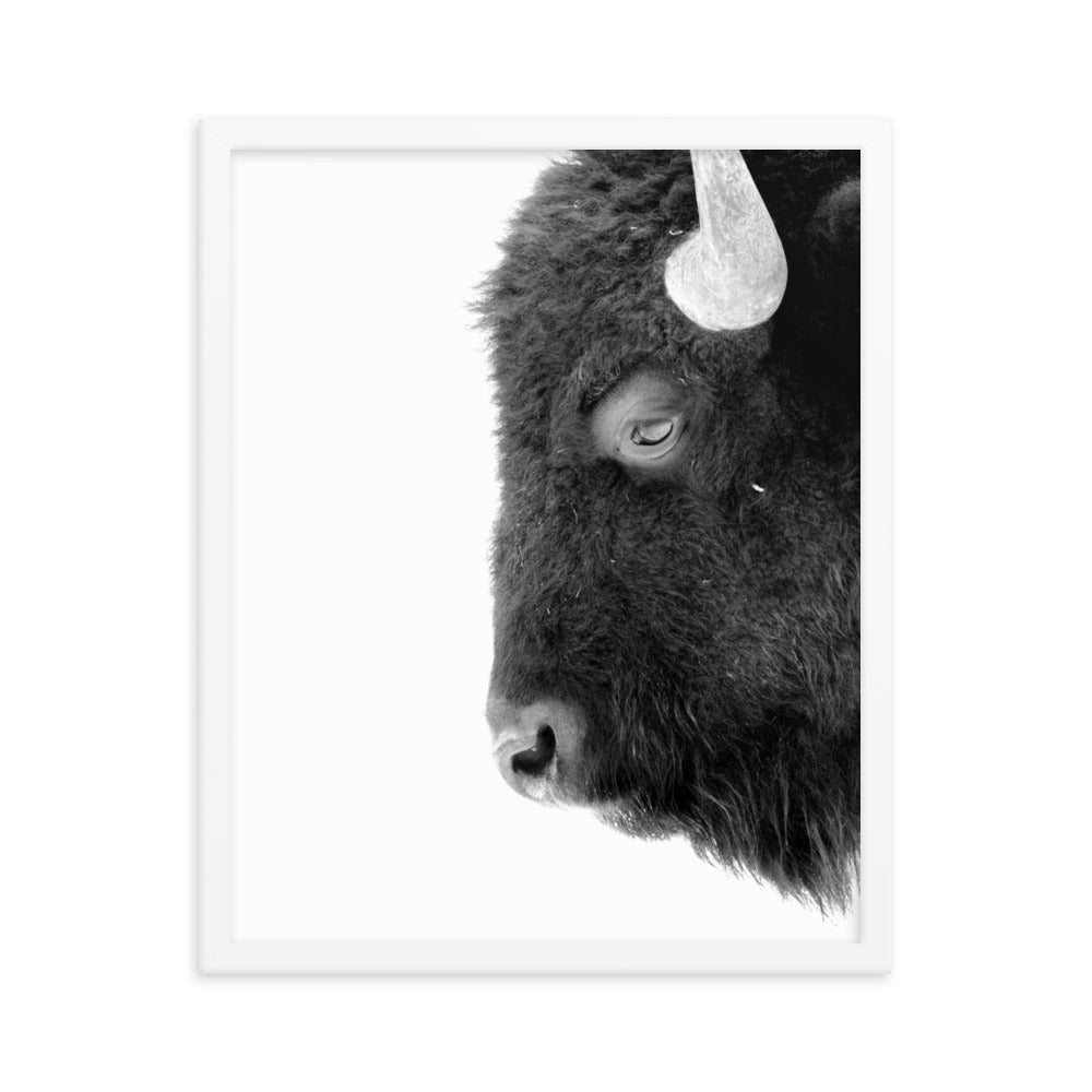 Mono Bison Framed Print