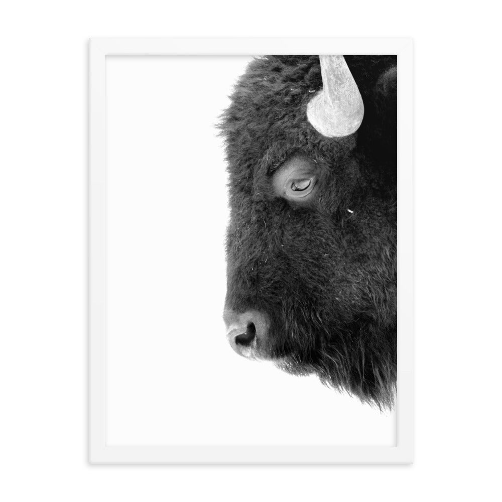 Mono Bison Framed Print