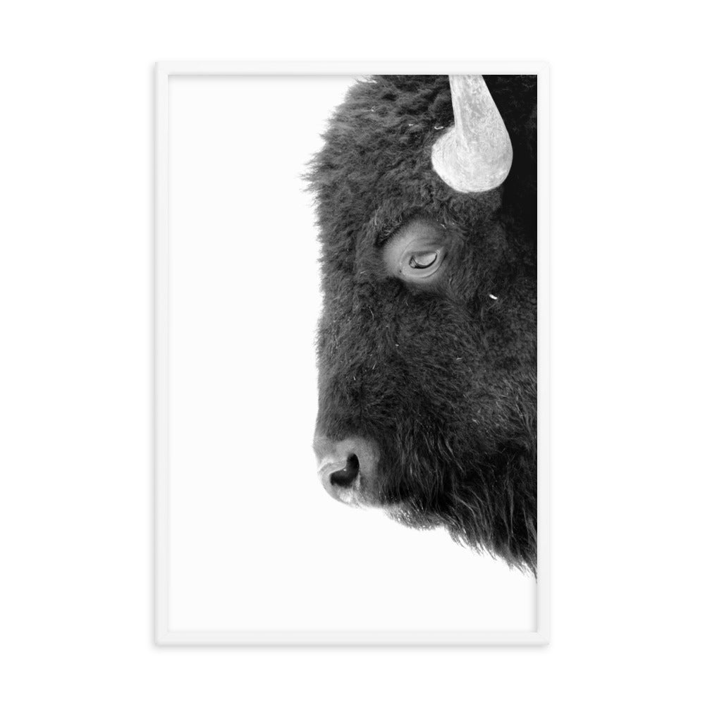 Mono Bison Framed Print
