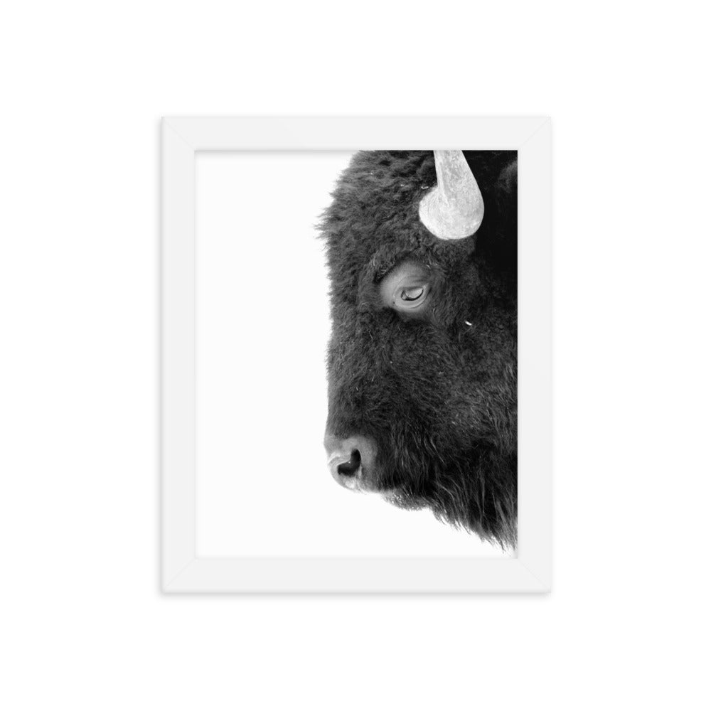 Mono Bison Framed Print