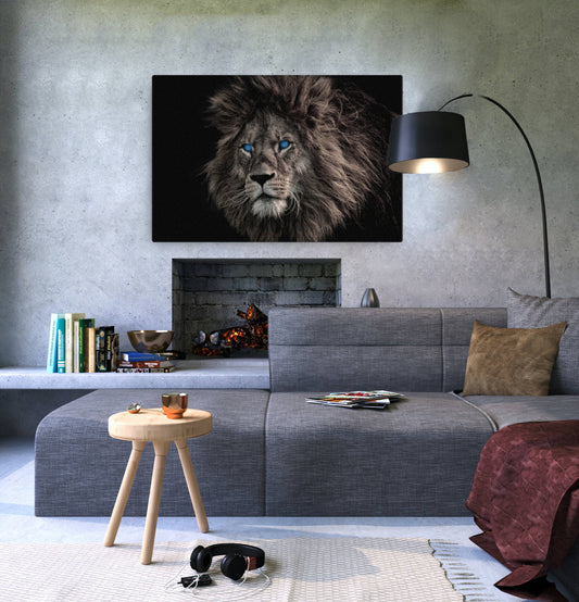 Blue eyed Lion with Black Accent Canvas Prints