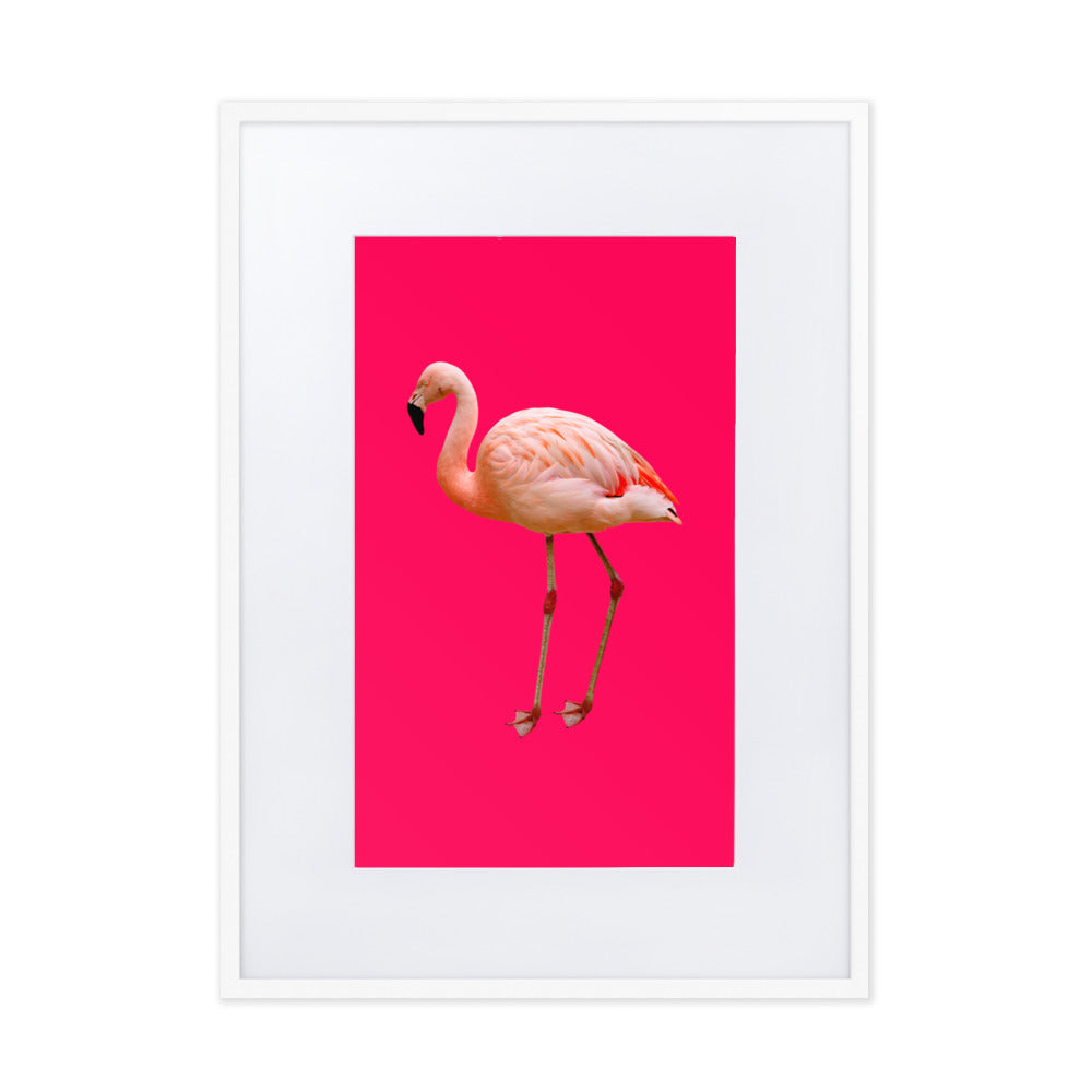 Pink Flamingo Framed Print