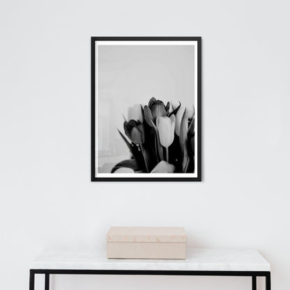 black and white tulips in botanical poster print 