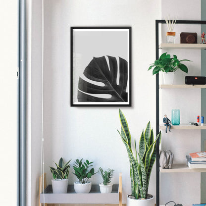 botanical plant poster in black and white 