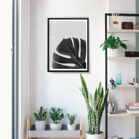 botanical plant poster in black and white 