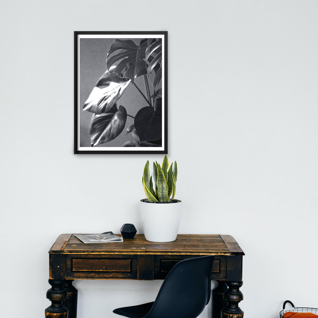 botanical plants poster print on wall