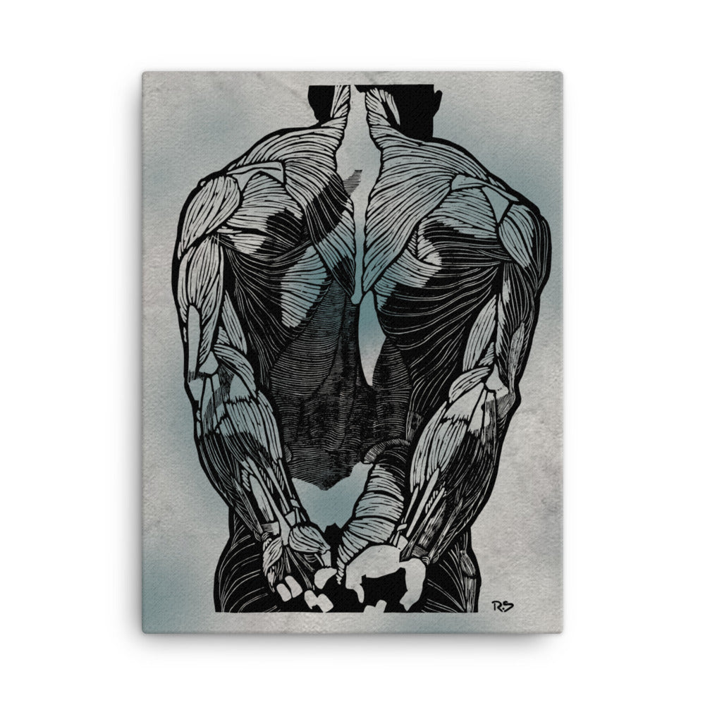 Anatomical study of a man's back muscles (1906–1945) Canvas Print