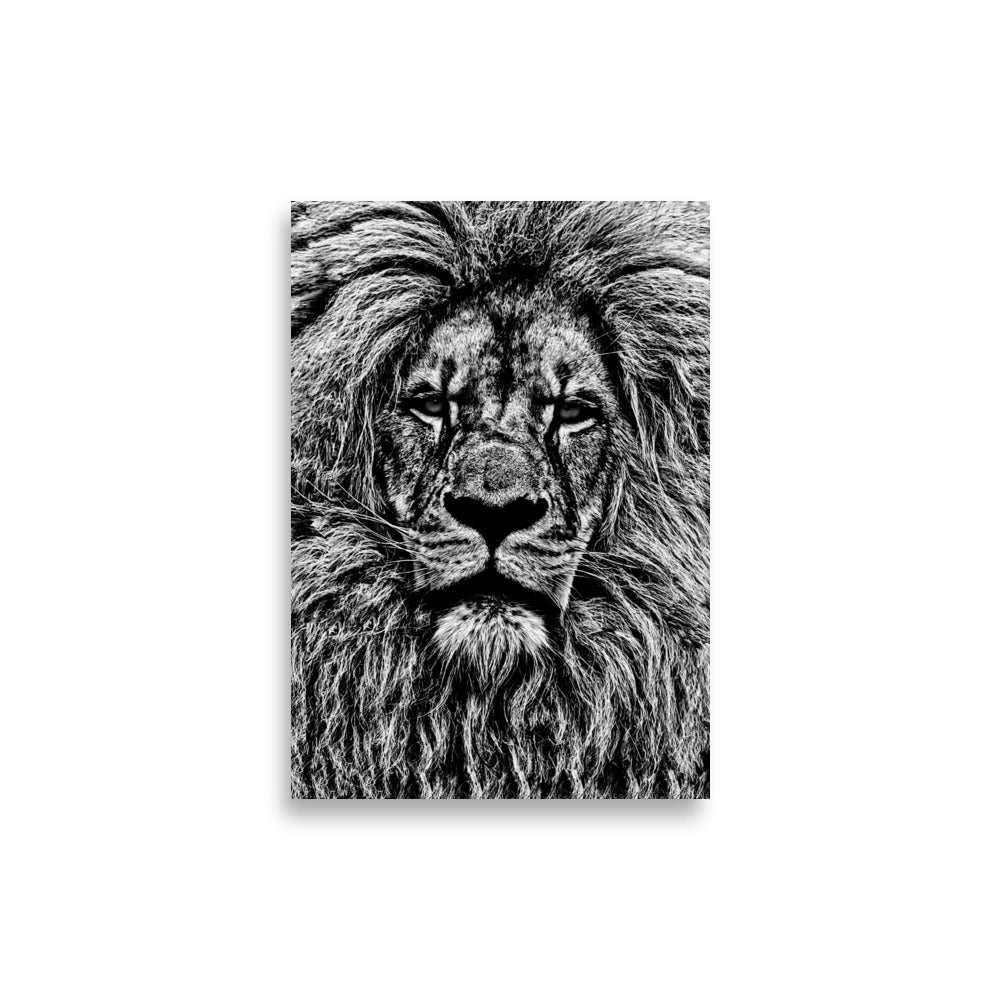 Mono Lion Framed Print With Mat Board