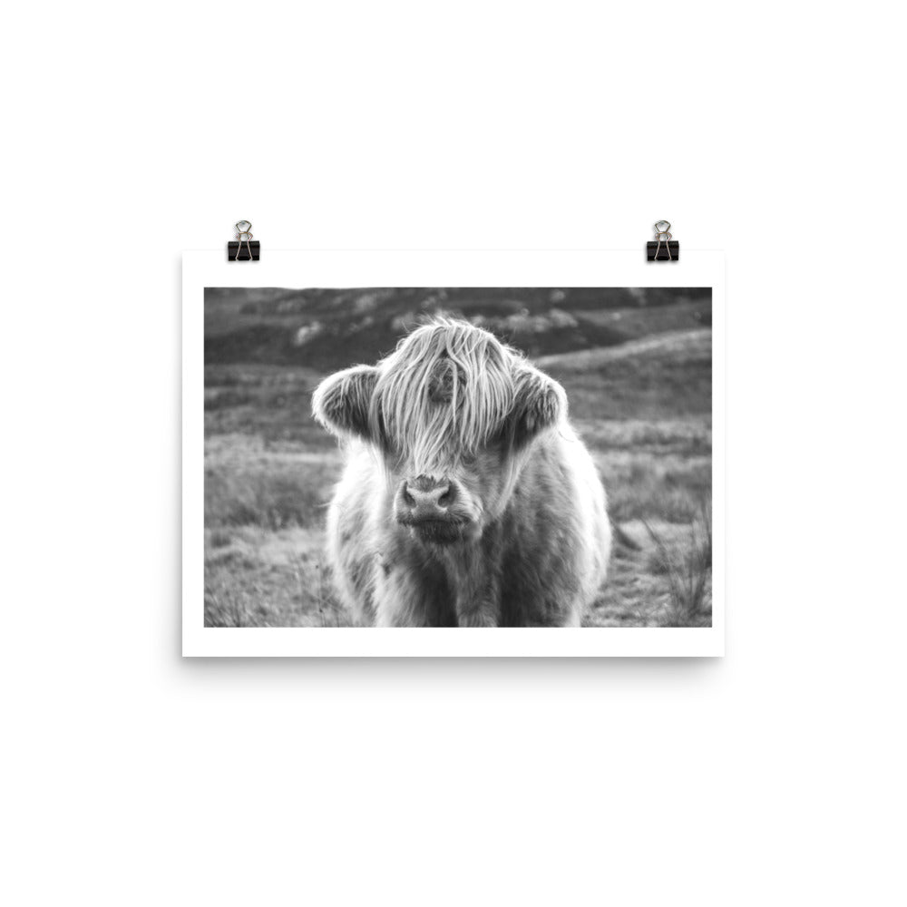 Black and White Highland Cow Framed Print