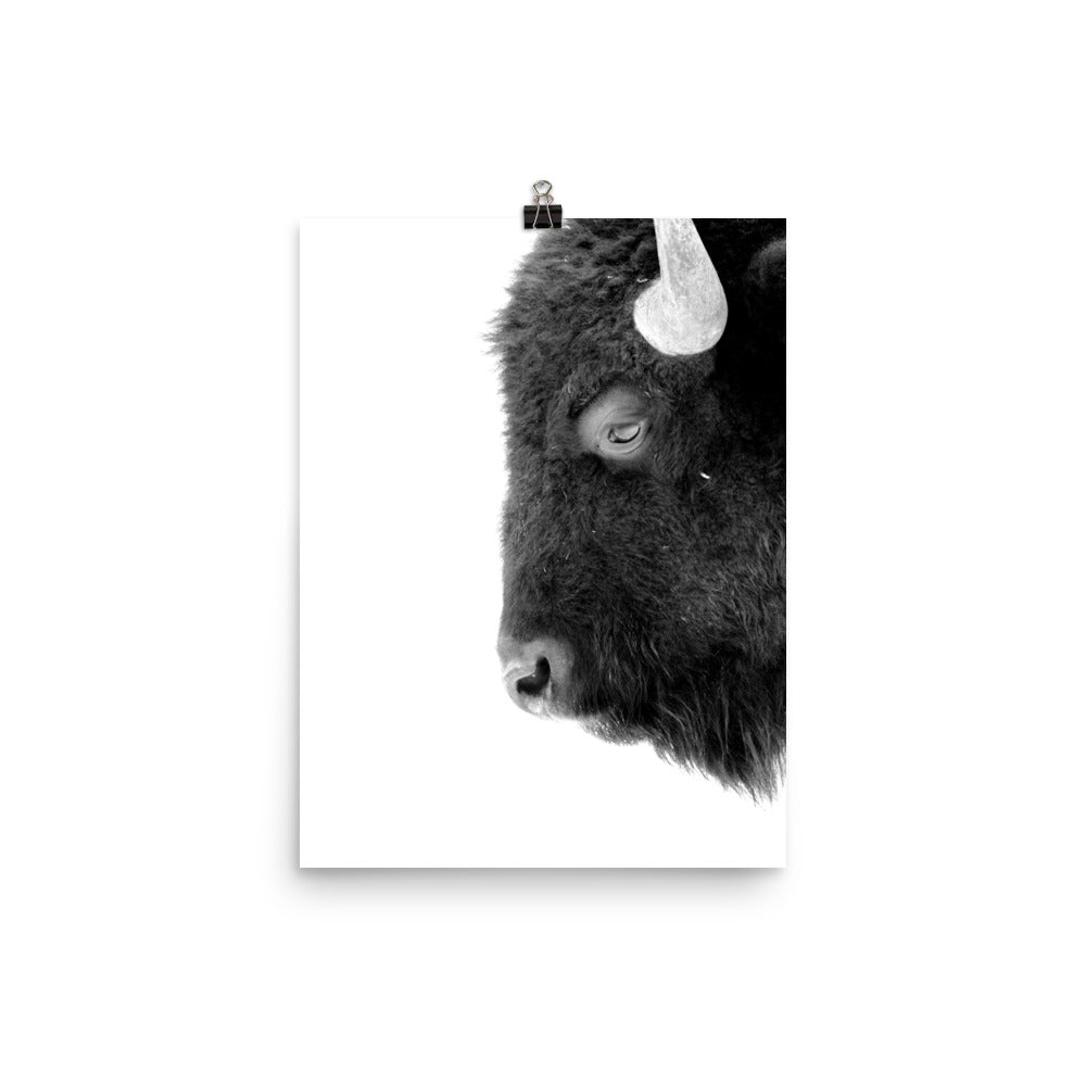 Mono Bison Framed Print