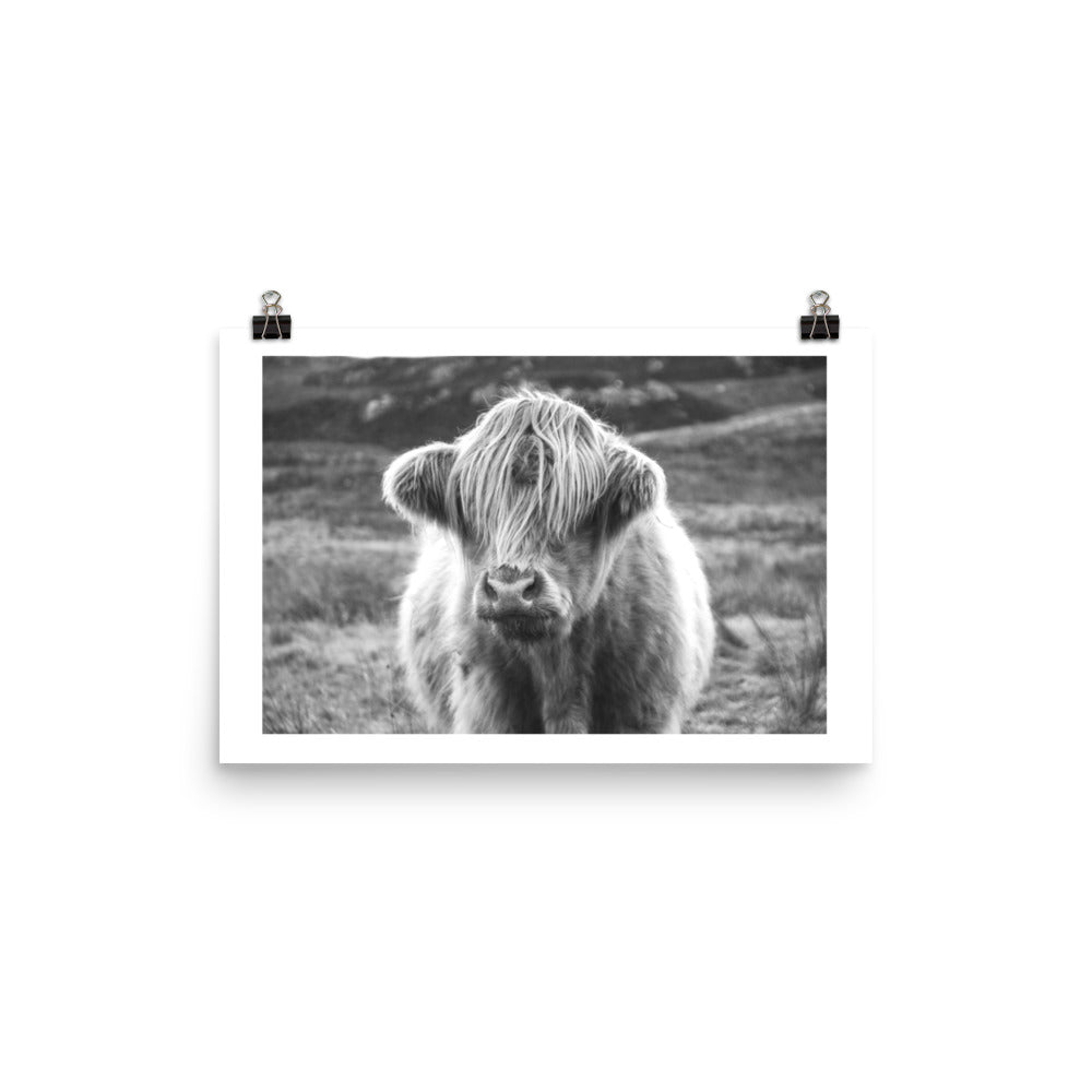 Black and White Highland Cow Framed Print