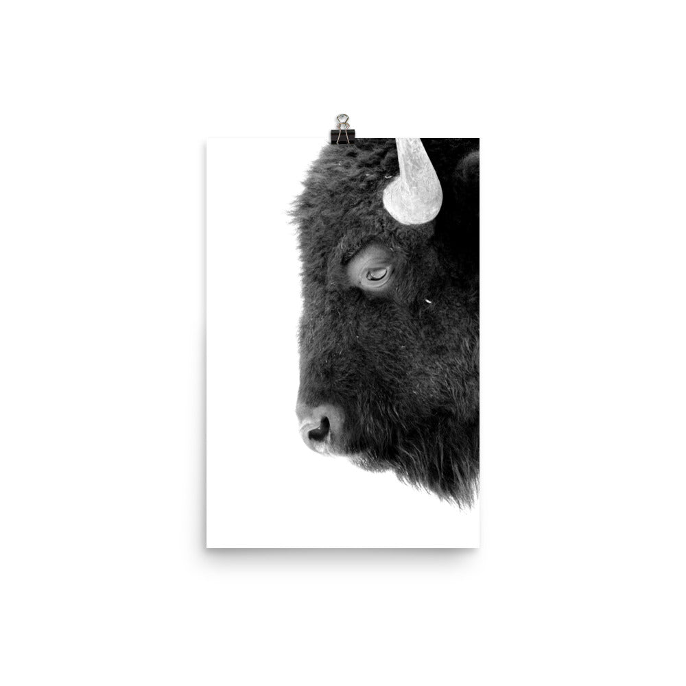 Mono Bison Framed Print