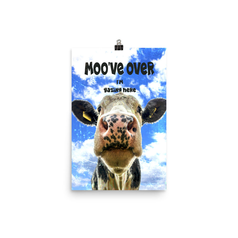 Gazing Cow Poster Print