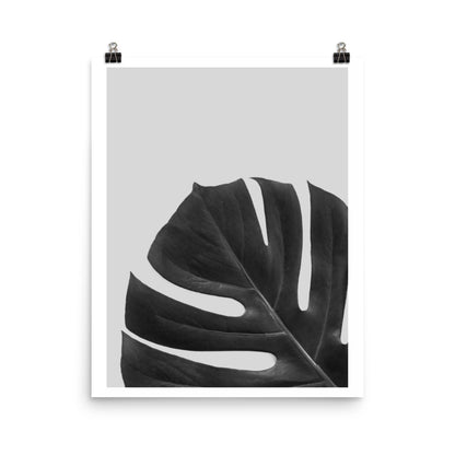 Botanical Noir Poster Print