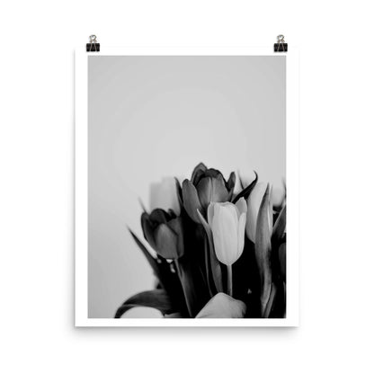 Black and White Blooms Poster Print
