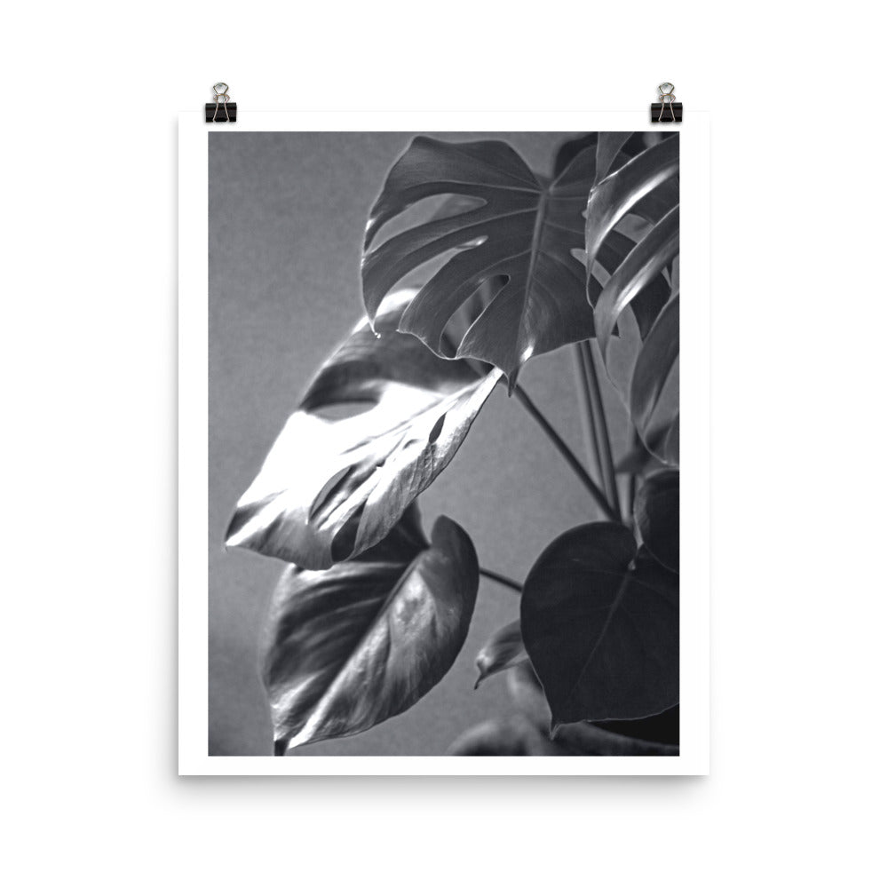 Monochrome Garden Art Poster Print