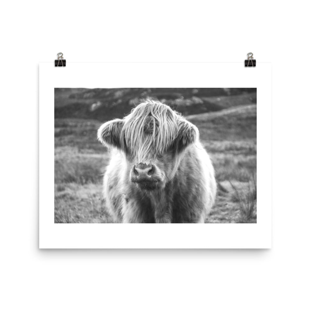 Black and White Highland Cow Framed Print