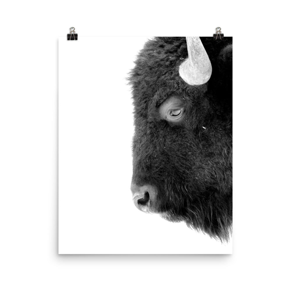 Mono Bison Framed Print