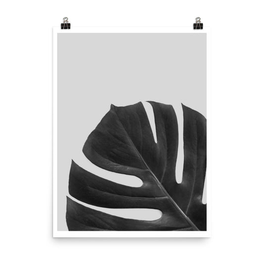 Botanical Noir Poster Print